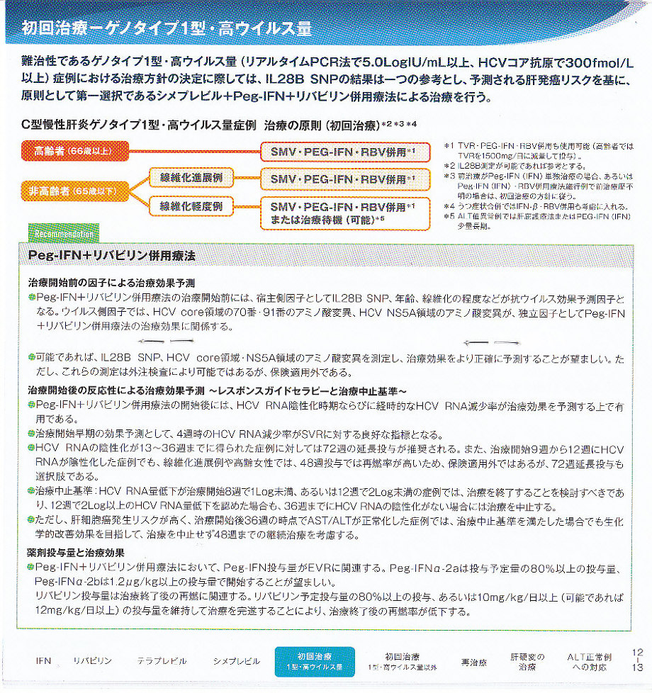 DAA時代におけるC型肝炎の今後の治療戦略 林紀夫先生 | 川村内科診療所様